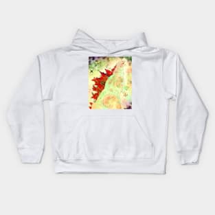 Zilla Kids Hoodie